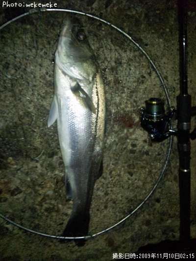 �����Х�