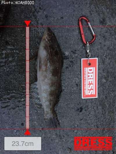 �����ʥ�