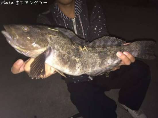 �����ʥ�