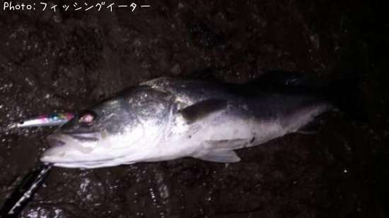 �����Х�