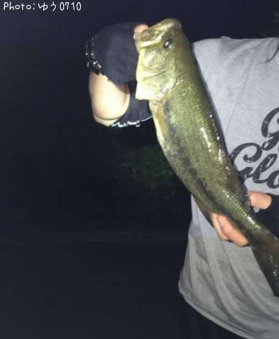 �֥�å��Х�