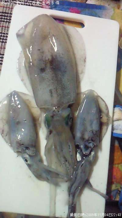 �����ꤤ��