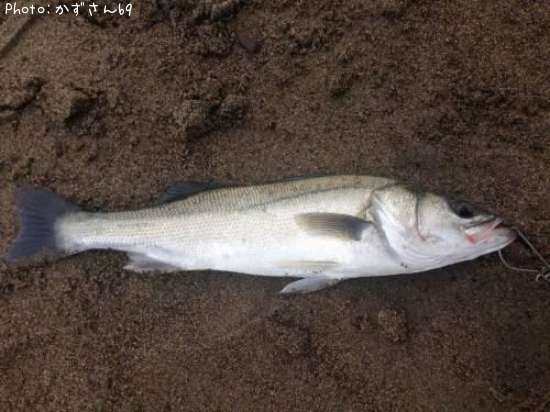 �����Х�