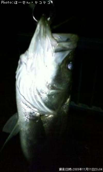 �����Х�