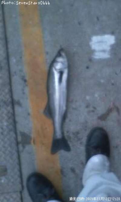 �����Х�