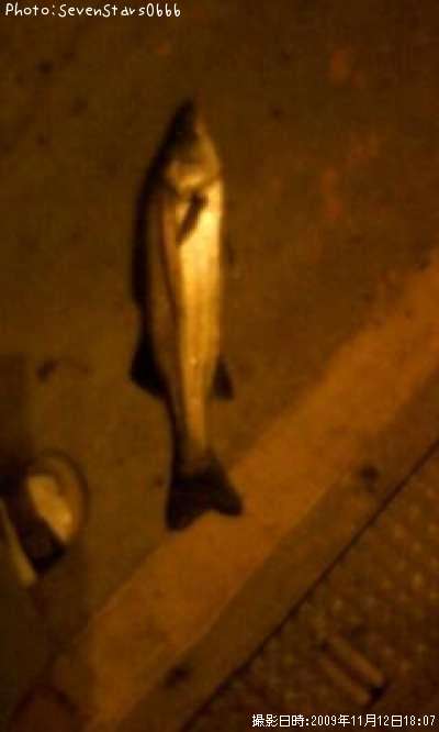 �����Х�