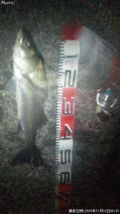 �����Х�