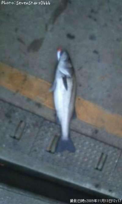 �����Х�