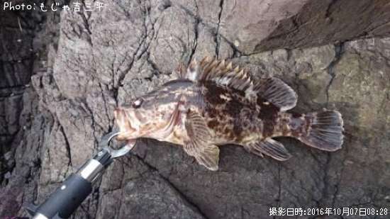 �٥å�������