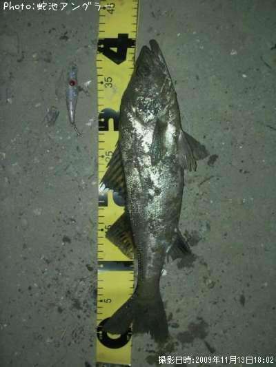 �����Х�