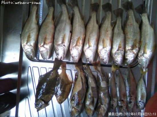 �����ʥ�