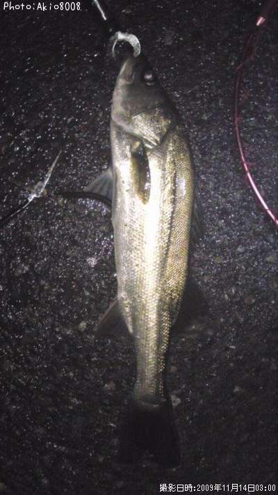 �����Х�