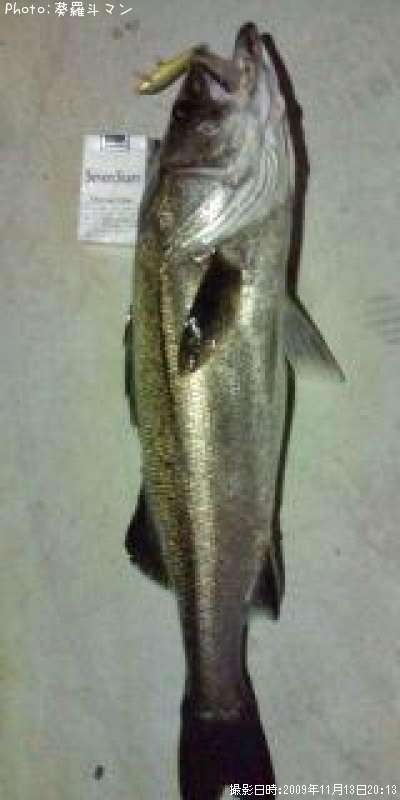 �����Х�