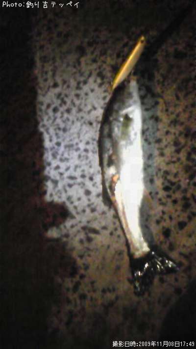 �����Х�