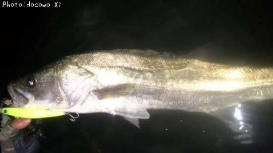 �����Х�