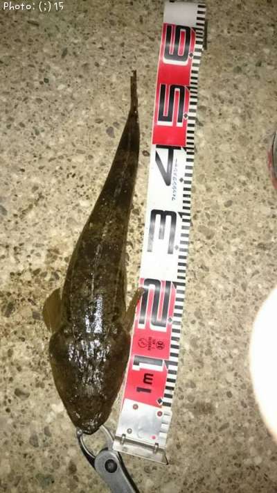 �ޥ��������ޥ�