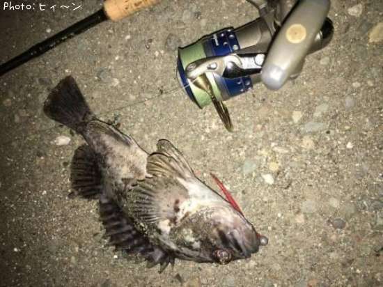 �����Υ���Х�