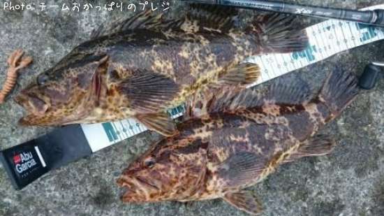 �����Υ���Х�