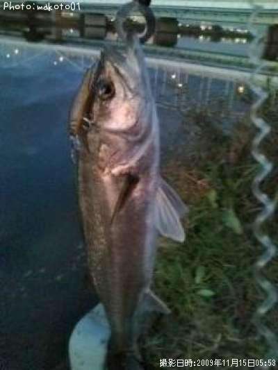 �����Х�