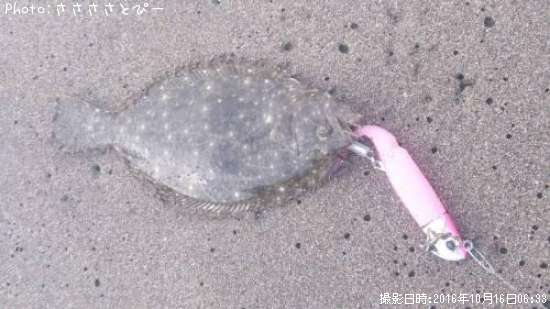 �ҥ��ʥ����ˡġʾС�