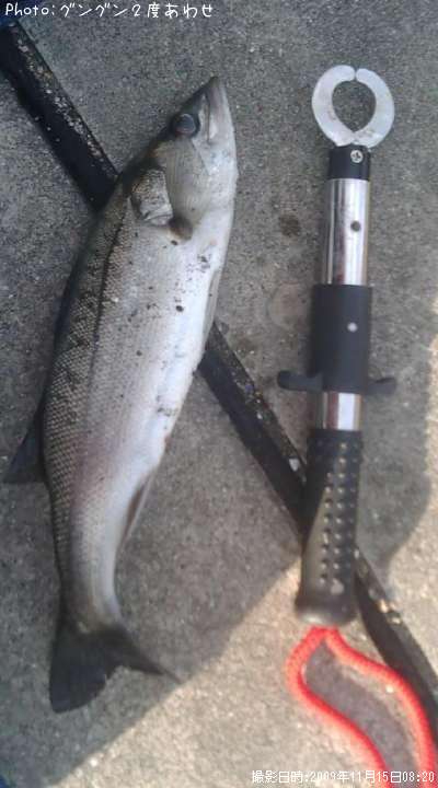 �����Х�