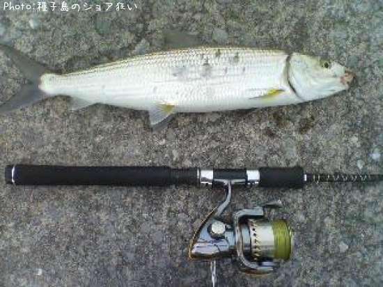 ���ȥ��亮