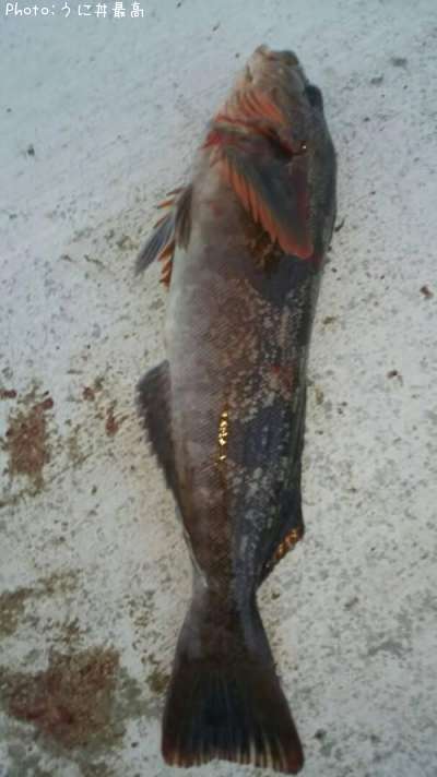 �����ʥ�