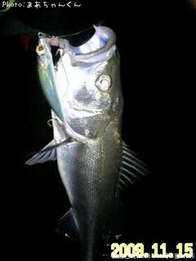 �����Х�