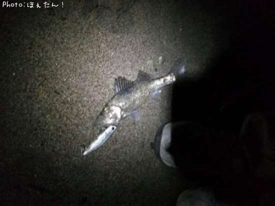 �����Х�