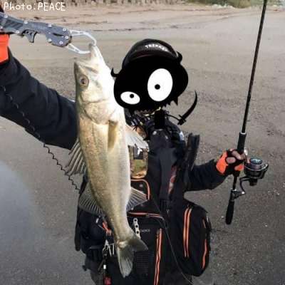 �����Х�