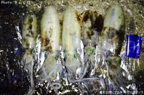 �����ꥤ��