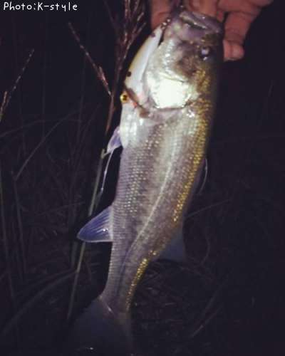 �֥�å��Х�