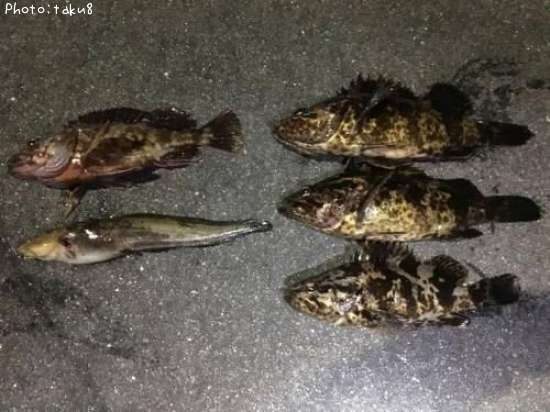 �����Υ���Х�