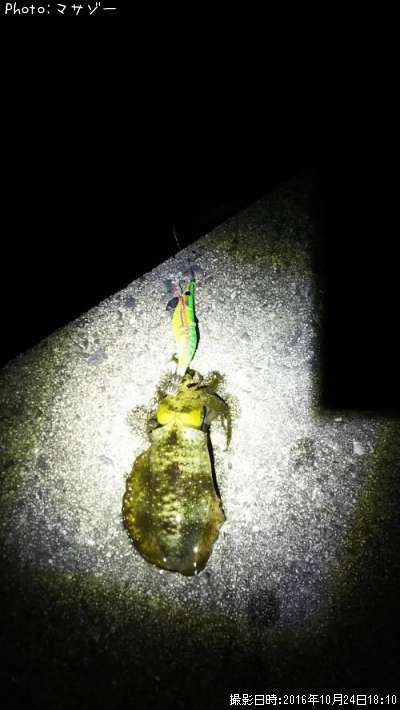 �����ꥤ��