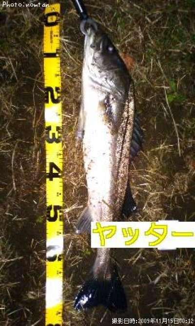 �����Х�