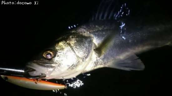 �����Х�