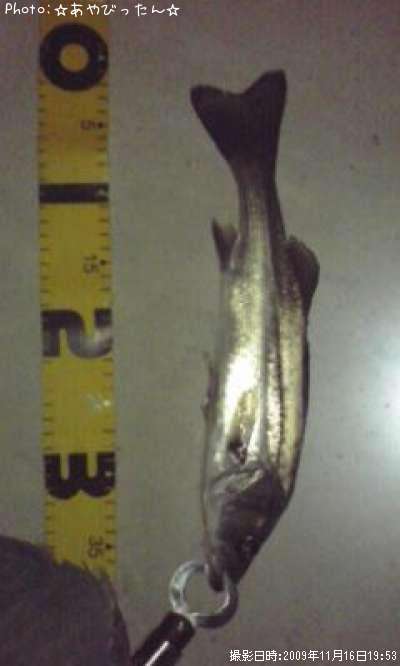 �����Х�