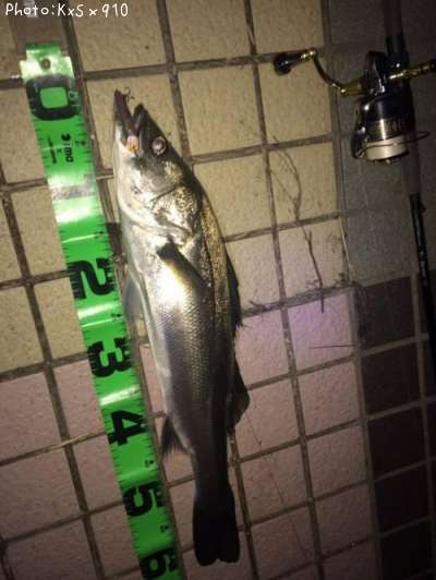 �����Х�