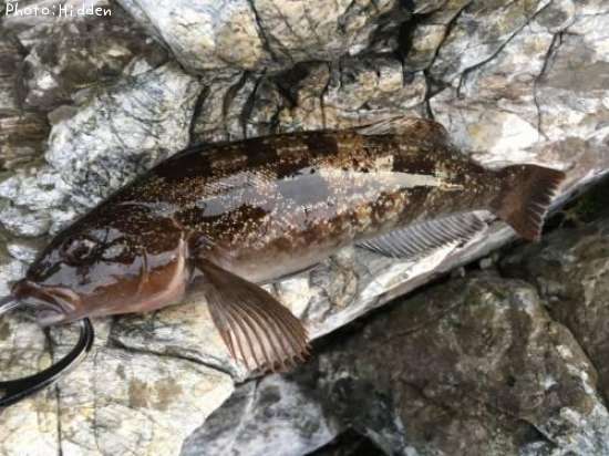 �����ʥ�