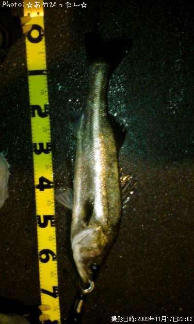 �����Х�