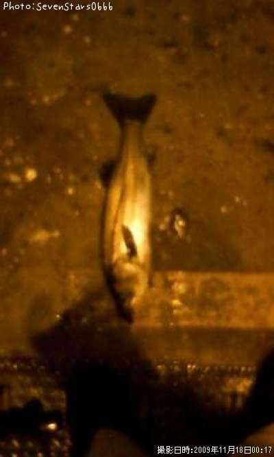 �����Х�