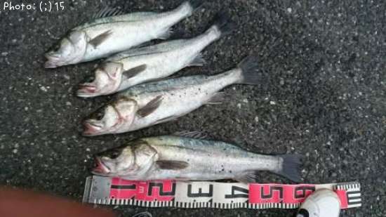 �����Х�