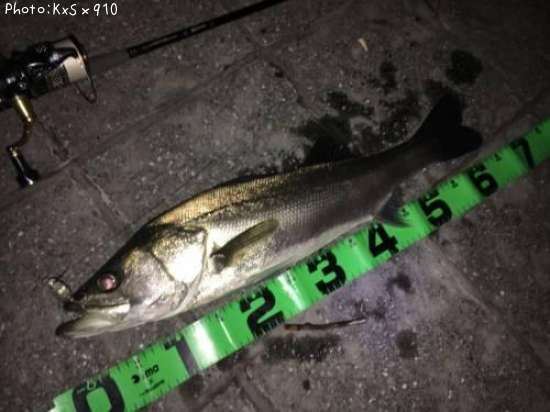 �����Х�