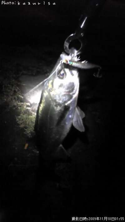 �����Х�