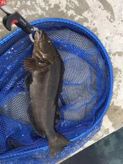 �����ʥ�