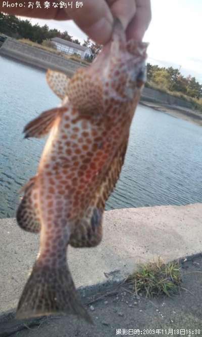 �������ϥ�