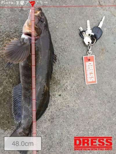 �����ʥ�