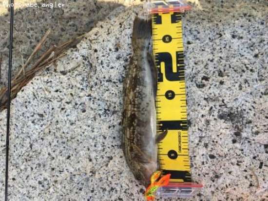 �����ʥ�