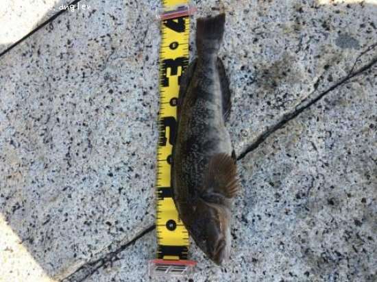 �����ʥ�