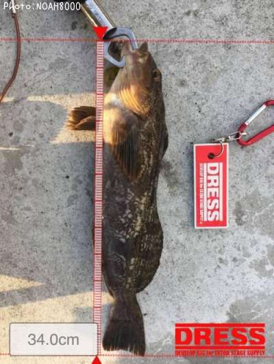 �����ʥ�